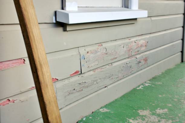 Professional Siding Installation & Repair in Farmers Loop, AK